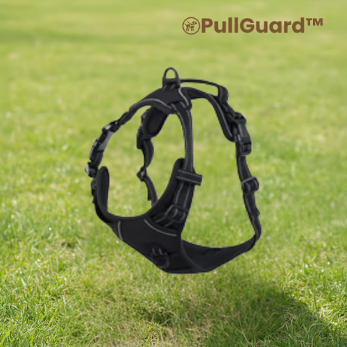 PullGuard™