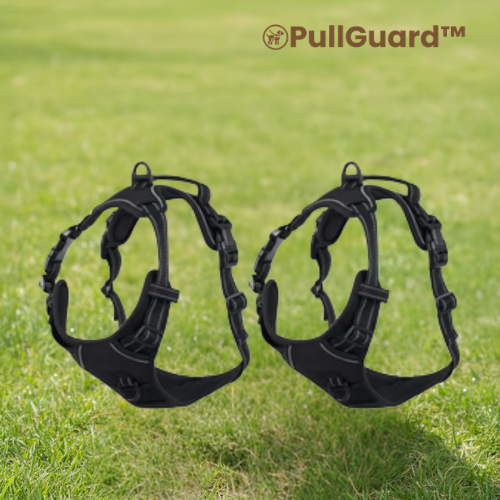 PullGuard™
