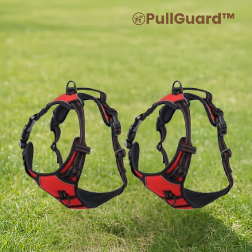 PullGuard™