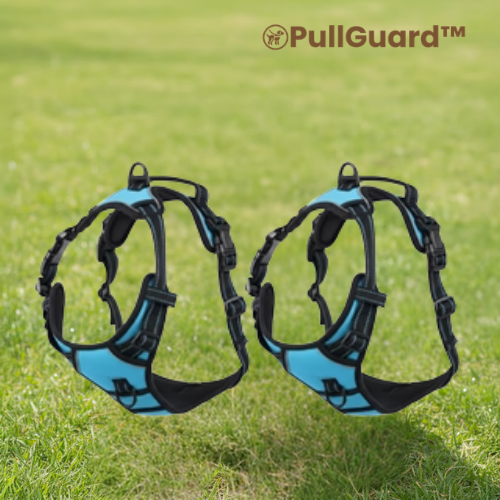 PullGuard™