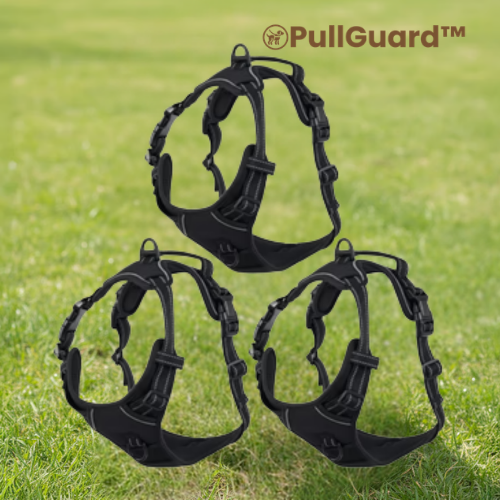 PullGuard™