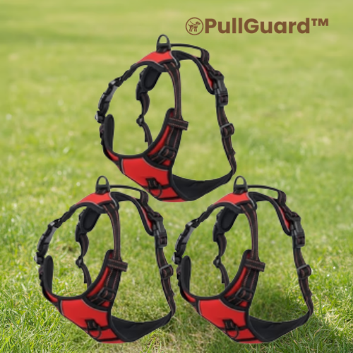 PullGuard™