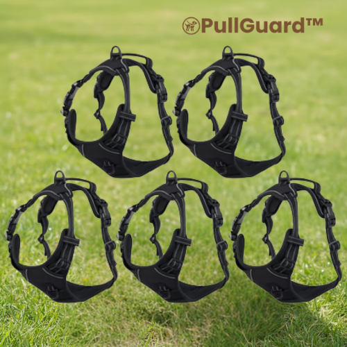 PullGuard™