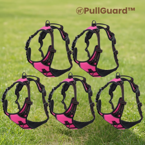 PullGuard™